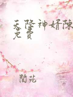 天降神婿陈黄皮免费