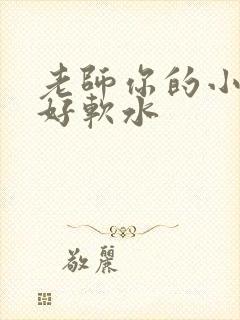 老师你的小兔子好软水
