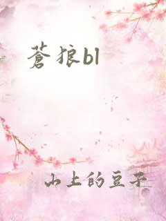 苍狼bl
