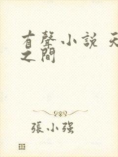 有声小说 天地之间