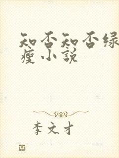 知否知否绿肥红瘦小说