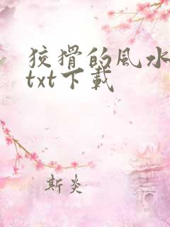 狡猾的风水相师txt下载