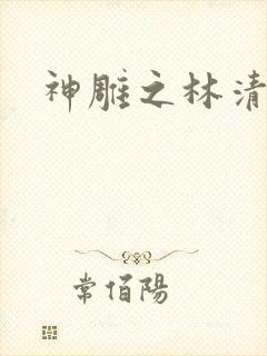 神雕之林清传