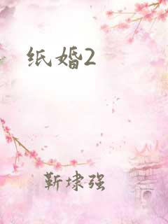 纸婚2