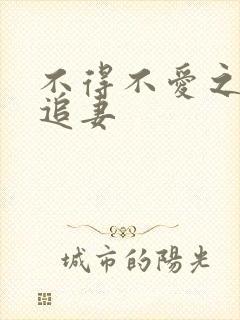 不得不爱之冷少追妻