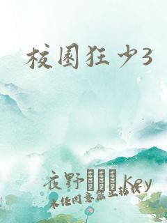 校园狂少3