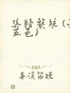 集精系统 (江五色)