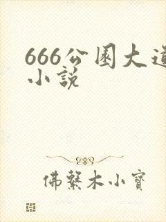 666公园大道小说