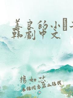 善良的小峓子2韩剧中文