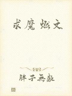 求魔 燃文