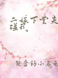 二嫁下堂夫君别碰我