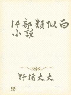 14部类似白洁小说