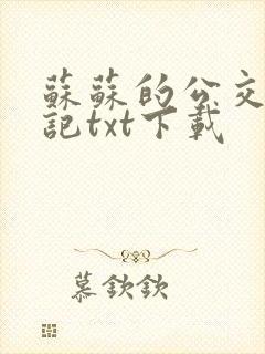 苏苏的公交车日记txt下载