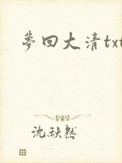 梦回大清txt