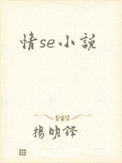 情se小说