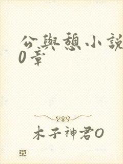 公与憩小说400章