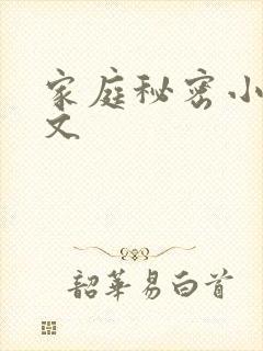 家庭秘密小说全文