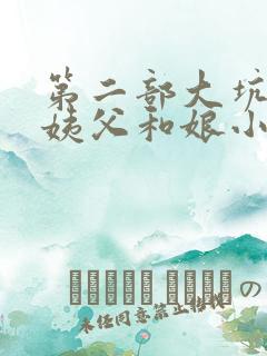 第二部大坑续集姨父和娘小说