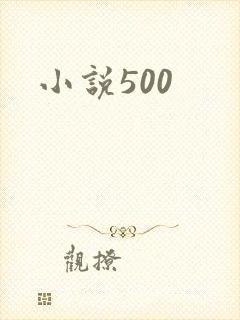 小说500