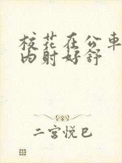 校花在公车上被内射好舒