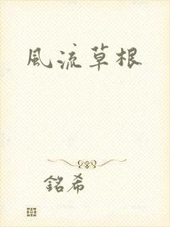 风流草根