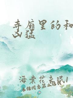 寺庙里的和尚很凶猛