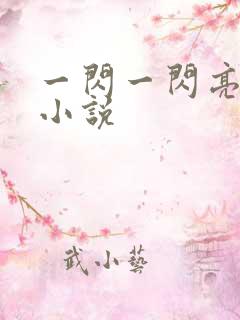 一闪一闪亮晶晶小说