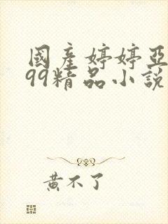 国产婷婷亚洲999精品小说