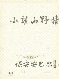 小说山野情债