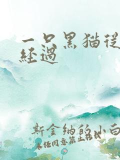 一只黑猫从眼前经过