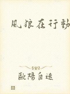 风狼在行动