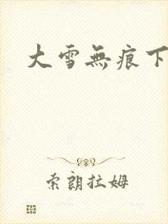 大雪无痕下载
