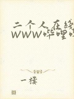 二个人在线观看WWW哔哩哔哩