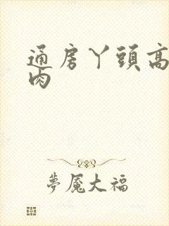 通房丫头高h纯肉