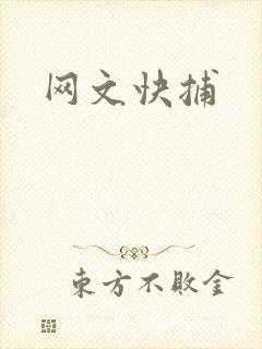 网文快捕