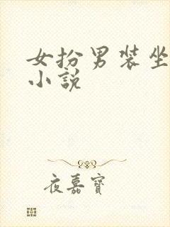 女扮男装坐江山小说