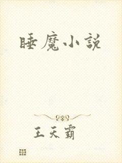 睡魔小说