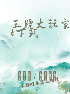 王牌大玩家txt下载