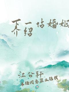 下一站婚姻剧情介绍