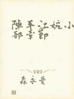 阵平江婉小说全部章节