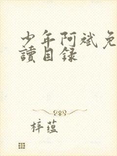 少年阿斌免费阅读目录