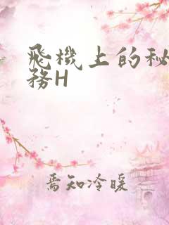 飞机上的秘密服务H