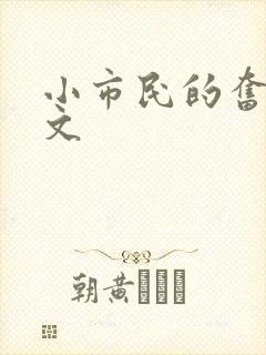 小市民的奋斗燃文