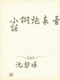 小钢炮来看我小说