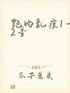 艳肉乱痕1一12章