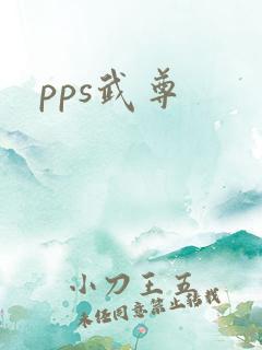 pps武尊