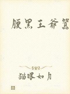 腹黑王爷嚣张妻