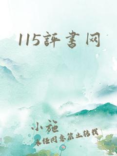 115评书网