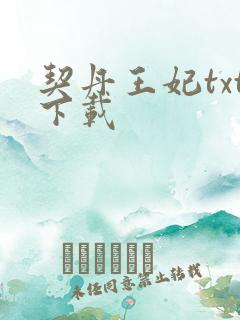 契丹王妃txt下载