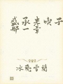 盛承光吃子时奶哪一章